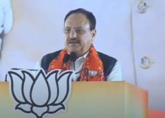 Congress tried to erase Sardar Patel from history: JP Nadda