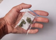 നടന്‍ ടിനി ടോമിന്റെ മകനുള്‍പ്പെട്ട മൂവര്‍ സംഘത്തെ കഞ്ചാവ് കേസില്‍ അറസ്റ്റ് ചെയ്ത് സ്റ്റേഷന്‍ ജാമ്യത്തില്‍ വിട്ടയച്ചു