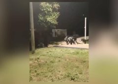 ഇസ്രായേലിൽ ഇന്ത്യന്‍ തൊഴിലാളികള്‍ക്കെതിരെ വംശീയാക്രമണം