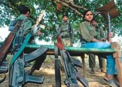 ആറ് സ്ത്രീകൾ ഉൾപ്പെടെ 11 നക്സലൈറ്റുകൾ കീഴടങ്ങി