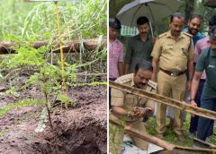 മഴമിത്രത്തിന്റെ സ്മരണക്കായി മഴ നനഞ്ഞ് വീയപൂരം നഗര വാടികയിൽ ‘ആന്റപ്പന്‍  അമ്പിയായം ഓർമ്മ മരം’ നട്ടു
