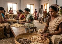 കശുവണ്ടി തൊഴിലാളികളുടെ ഈ വര്‍ഷത്തെ ബോണസ് 20 ശതമാനമായി നിശ്ചയിച്ചു; ഓഗസ്റ്റ് 23-നകം അഡ്വാന്‍സായി 11,500 രൂപ നല്‍കും