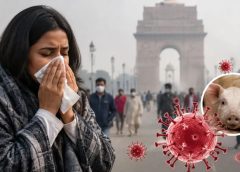 ഡൽഹിയിൽ പന്നിപ്പനി (H1N1) പടർന്നുപിടിക്കുന്നു; ഡോക്ടർമാർ ഉൾപ്പെടെ നിരവധി ആരോഗ്യ പ്രവർത്തകർക്ക് രോഗം ബാധിച്ചു